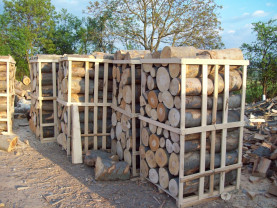 Sute de metri cubi de buşteni fără acte de provenineţă, confiscate - Comerţ „negru” cu lemne