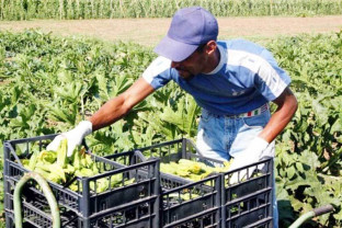 MADR: Agricultura ecologică - Înscrierea operatorilor, până la data de 16 mai