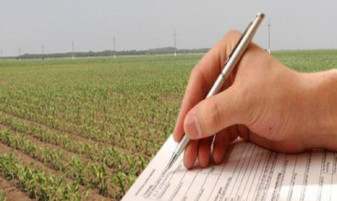 APIA: Subvenția pășune - Termen de plată pentru fermieri – 15 octombrie