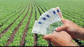 AFIR. Asigurarea culturilor agricole - Fonduri europene pentru fermieri