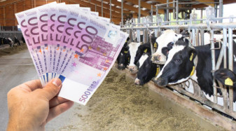 APIA. Subvenţia pentru crescătorii de bovine - Peste 93.500 de cereri depuse