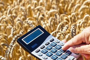 MFP. Arendarea bunurilor agricole - Precizări privind calculul şi plata impozitului