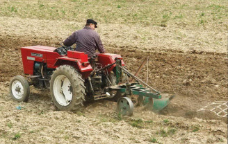 APIA. Sprijinul cuplat vegetal - Primele termene pentru subvenţii