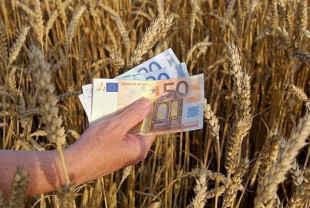 MADR: Sprijinul cuplat sector vegetal - Plafoanele aprobate pentru anul de cerere 2017
