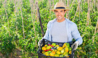 MADR. Din august, depunerea cererilor - Sprijin de 15.000 de euro pentru fermele mici