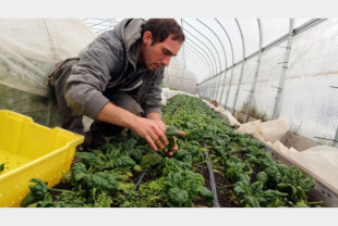 MADR: Dovedirea calităţii de fermier activ