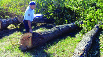 ​Garda Forestieră Oradea: Pentru micii  proprietari de păduri - Asigurarea gratuită a serviciilor silvice de către ocolul silvic