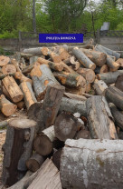 Mai mulți bihoreni au fost prinși transportând material lemnos fără acte legale - Lemne de foc și cherestea confiscate