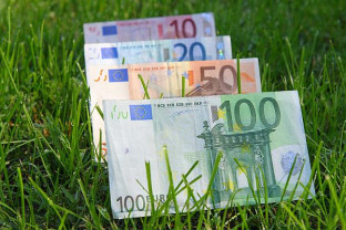 AFIR. Prin PNDR - Plăţi nerambursabile de 5,7 milioane de euro