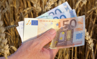 APIA: Din 16 octombrie, demarează plățile directe în sectorul vegetal