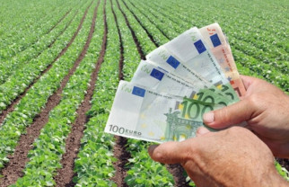 MADR: Sprijinul cuplat plafoanelor alocate în sectorul vegetal