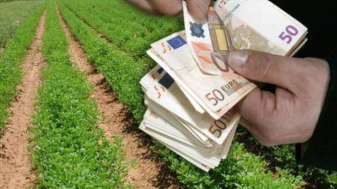 APIA. Campania 2018 - Continuă plăţile către fermieri