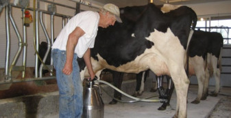 Subvenţii APIA - Ajutor excepţional pentru producătorii de lapte