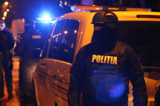 Zeci de amenzi și mai multe dosare penale - Razie în zona Beiuș