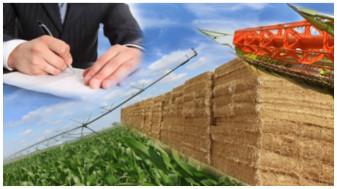 Registrul Agricol 2020 - Noile formulare, termene de declarare
