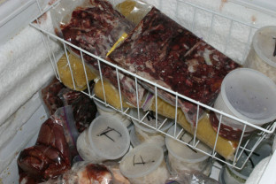 Bărbatul a intrat în casă peste un pensionar, furând inclusiv carnea din congelator - Bihorean reţinut pentru tâlhărie