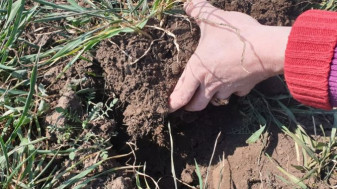 MADR. Plățile către fermieri - Fonduri pentru producătorii cu culturi afectate de secetă