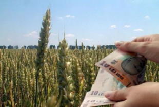 AFIR: Timp de trei luni, fermele mici pot solicita finanţare