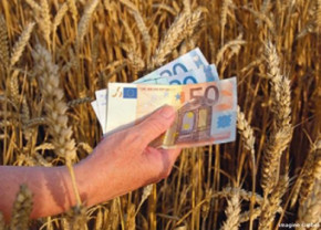 APIA: Fonduri europene - Subvenţii agricole care vor intra la plată în 2018