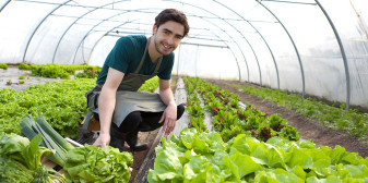 Programul tânărul fermier - Condiții și plăți APIA pentru agricultori