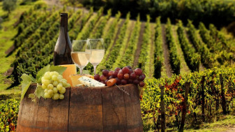 Distilarea vinului în situații de criză - APIA primește cereri de plată