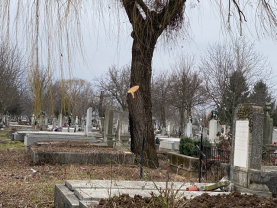 Lucrările de întreţinere din Cimitirul Municipal Rulikowski Oradea - Defrişări sau igienizare?!