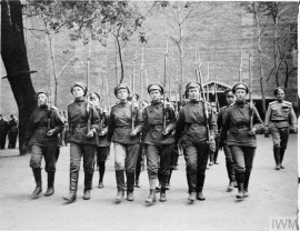 100 de ani. Marşul spre Marea Unire (1916-1919) - Între război şi pace. Revoluţia bolşevică (III)