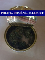 Canabis la liber - On-line și en-detail