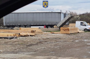 Zeci de metri cubi de cherestea și lemne de foc - Confiscați de polițiștii bihoreni