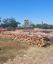 Amenzi și sute de metri cubi de lemn confiscate - Acțiune de anvergură