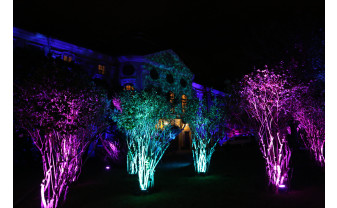 Lumea fantastică a Grădinii Palatului Baroc şi-a deschis porţile - Magic Garden a prins viaţă