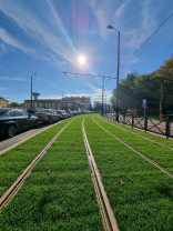 Coridorul Nufărul-Cantemir - A început înierbarea liniei de tramvai