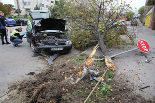 A intrat cu suta la oră într-un copac de pe un bulevard din Oradea - Şoferul băut, reţinut