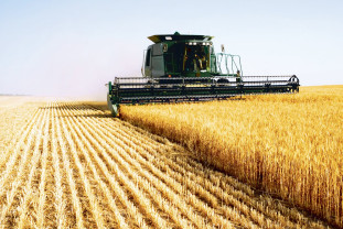 An agricol foarte tensionat, marcat de secetă şi război - A mai rămas profitabilă agricultura?