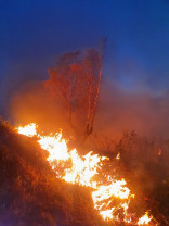 Incendiu pe Valea Aleului din Munții Apuseni