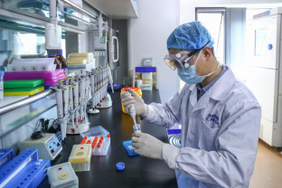 Cercetări avansate în China pentru recuperarea după AVC - Electrod nervos implantabil