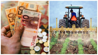 APIA. Calendarul subvențiilor - Plăți avans şi termene pentru fermieri