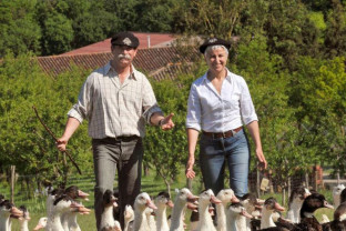 „Bijuteria culinară” a Franţei este pe cale de dispariţie - Criză de foie gras