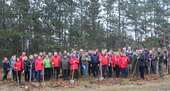 Cărpinet. Luna Pădurilor - Voluntarii au plantat 2.500 de puieți