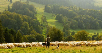 Bulgaria - Prima Academie pentru ciobani