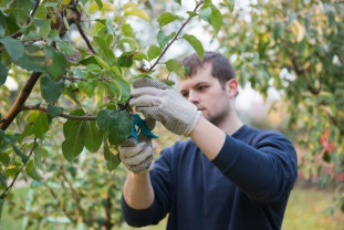 MADR. Instalarea tinerilor fermieri - Depunerea proiectelor demarează în luna aprilie