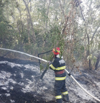 Mai multe terenuri şi păşuni au fost cuprinse de flăcări - Cinci incendii în Bihor