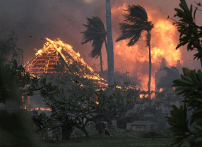 Cel puțin 89 de persoane au murit - Incendiu de vegetație catastrofal în Hawaii