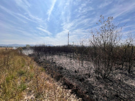 Peste 80 de misiuni desfășurate de pompierii bihoreni, în weekend - Incendii şi salvare de persoane