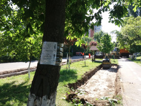 Viitoarea pistă de alergare din zona străzii Sovata - Nu tăiaţi copacii, se pot ocoli!