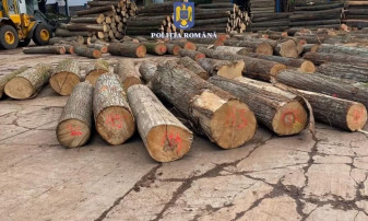 Amendă în urma unei acțiuni a polițiștilor bihoreni - Material lemnos confiscat valoric