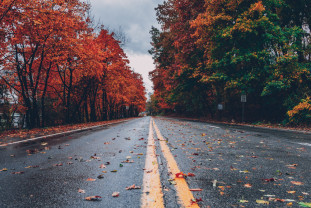 Prognoza meteo - Temperaturi ridicate în noiembrie