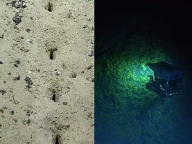 Găuri misterioase pe fundul Oceanului Atlantic - Misterul din adâncuri
