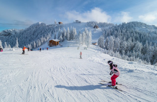 Omologarea și exploatarea pârtiilor de schi - Guvernul a adoptat noi reguli