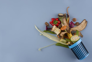 Normele metodologice ale Legii privind diminuarea risipei alimentare - Publicate în dezbatere
